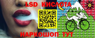 гашик Кулебаки
