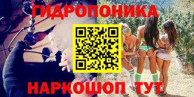 гашик Кулебаки