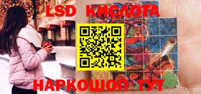 крисы Кунгур
