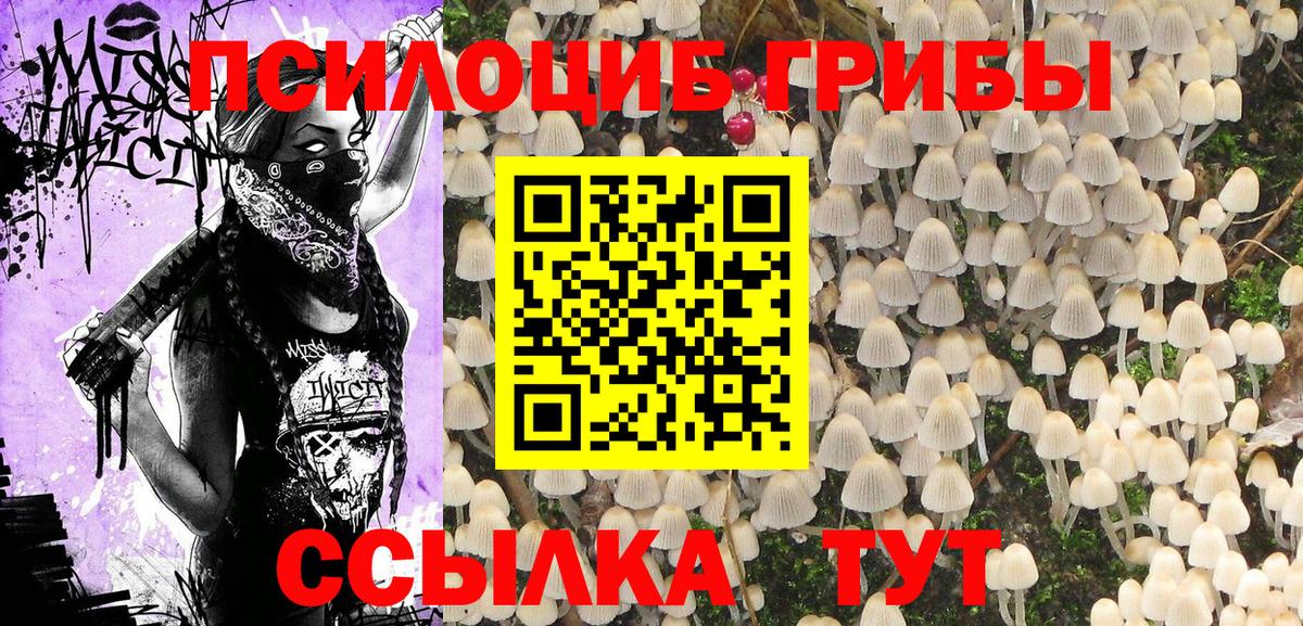 Псилоцибиновые грибы прущие грибы  Вход с VPN  Урус-Мартан 